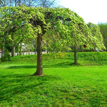 招待所 Blue 乌帕河畔斯沃博达