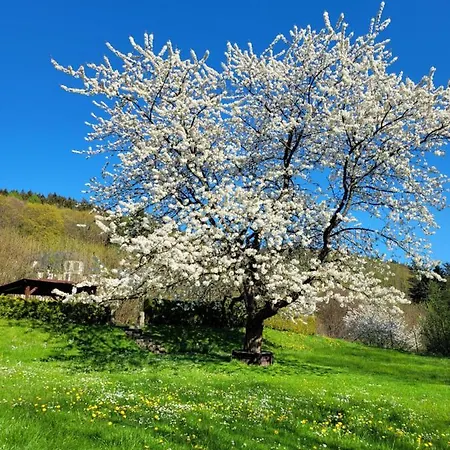 Pensión Blue