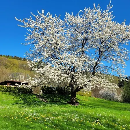 Gæstehus Blue