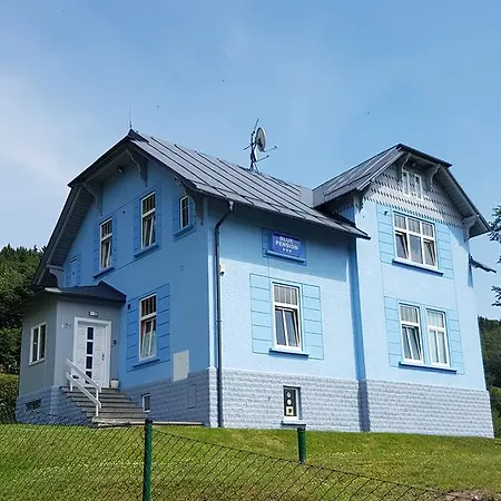 Blue Pension 3*