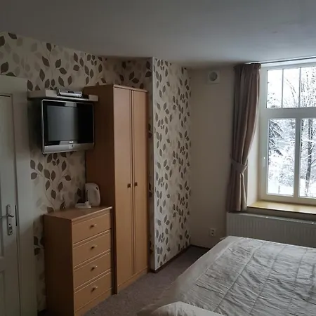 Blue Pension 3*