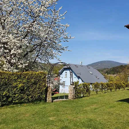 Blue Pension Guest house Svoboda nad Upou