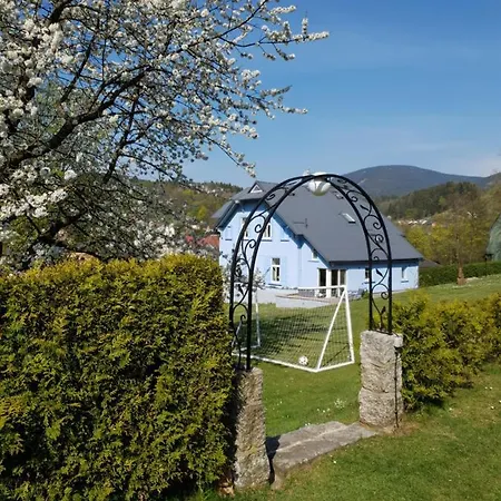 Guest house Blue Pension 3*