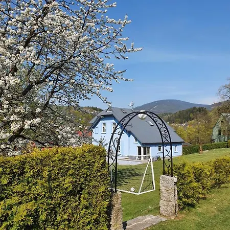 Blue Pension Guest house Svoboda nad Upou