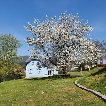 Blue Pension 3* Svoboda nad Upou