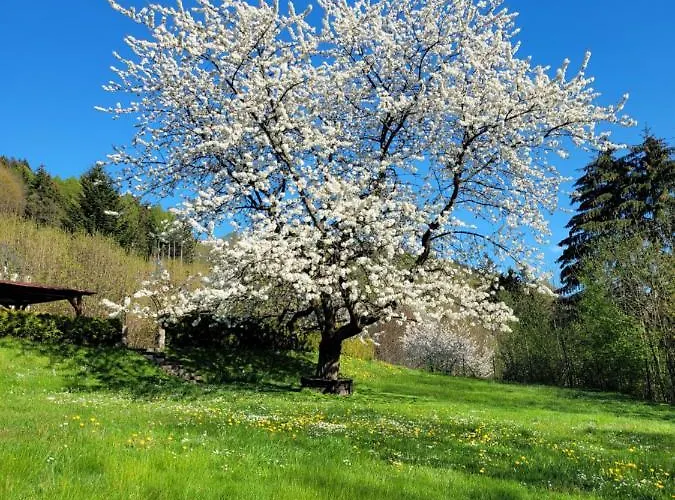 Vendégház Blue 3*