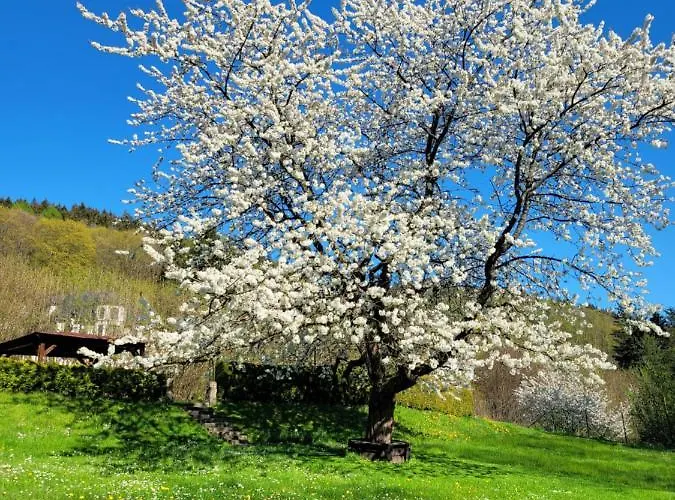 Vendégház Blue